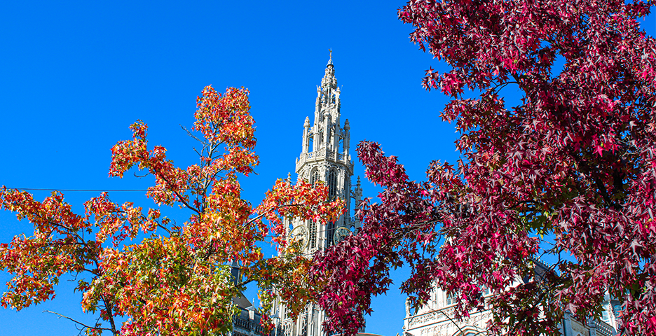 Herfst kathedraal Antwerpen
