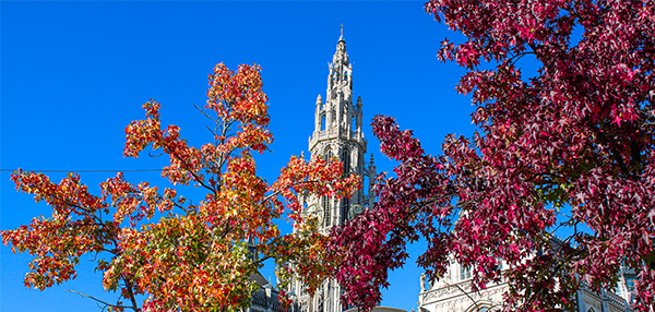 Herfst uitjes in Antwerpen